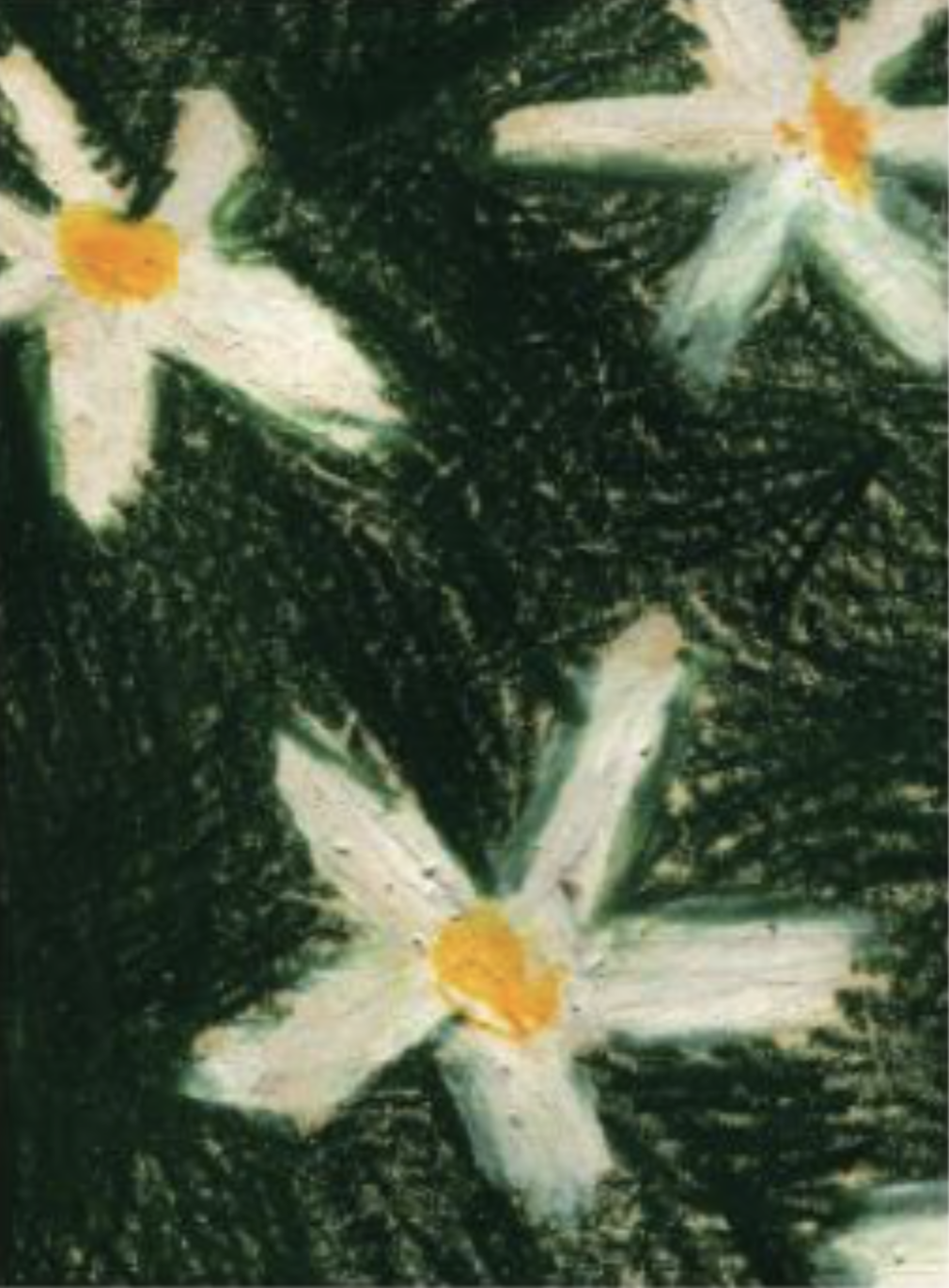 Newsletter Image